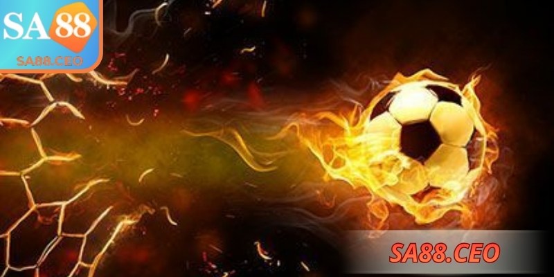 Hiểu tỷ lệ, biến động trước khi đưa ra quyết định
