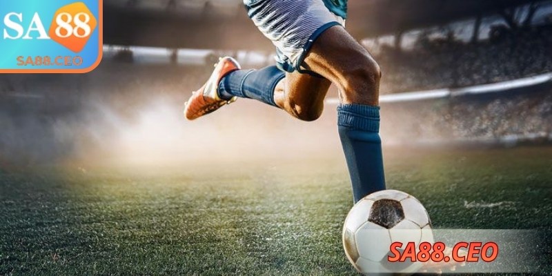 Cung cấp dữ liệu quan trọng giúp dự đoán biến động trận đấu hiệu quả
