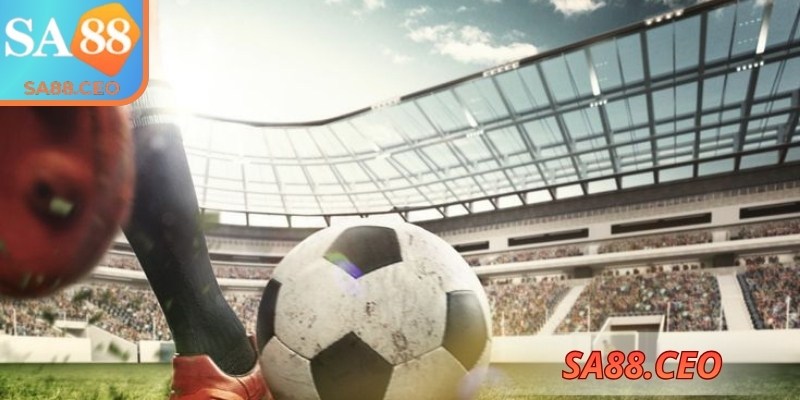 Theo dõi thông tin để ra quyết định hợp lý